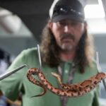 Everything to know about venomous snakes in Memphis from 'The Reptile Guy'