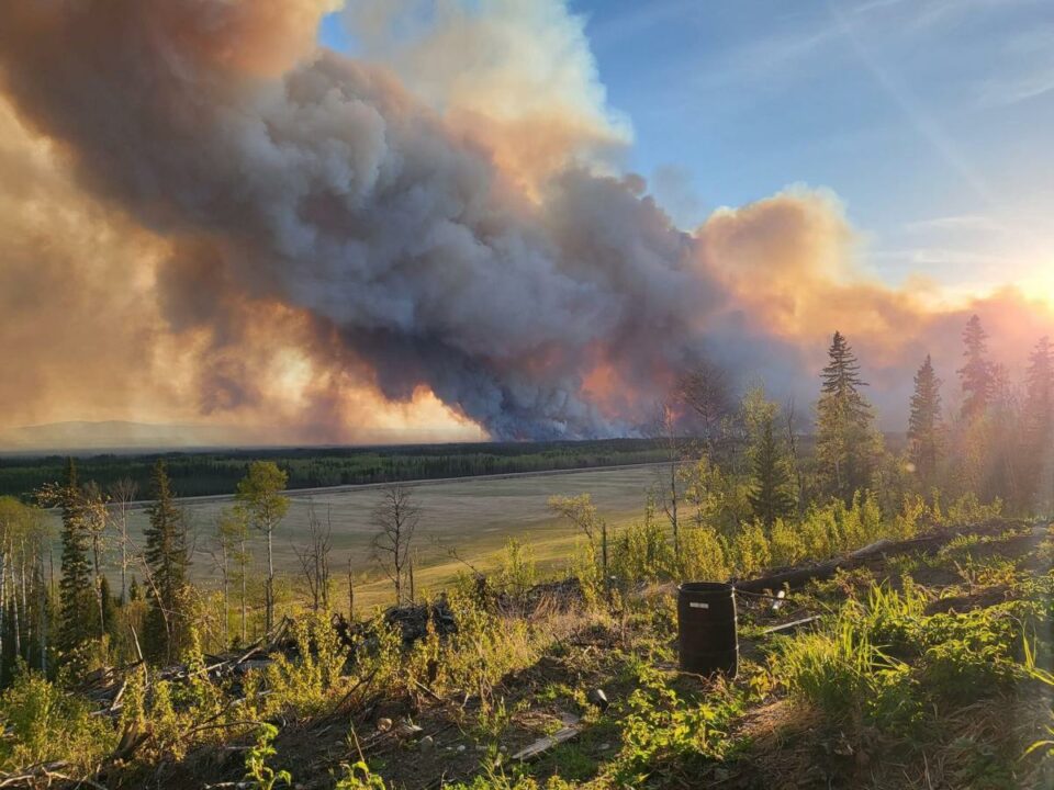 Extreme heat, wildfires and climate change are causing Canadians to feel heightened sense of eco anxiety: 'How are we going to live?'