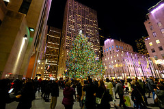 Amazing Christmas Tree in New York City