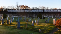 Cemetery 28