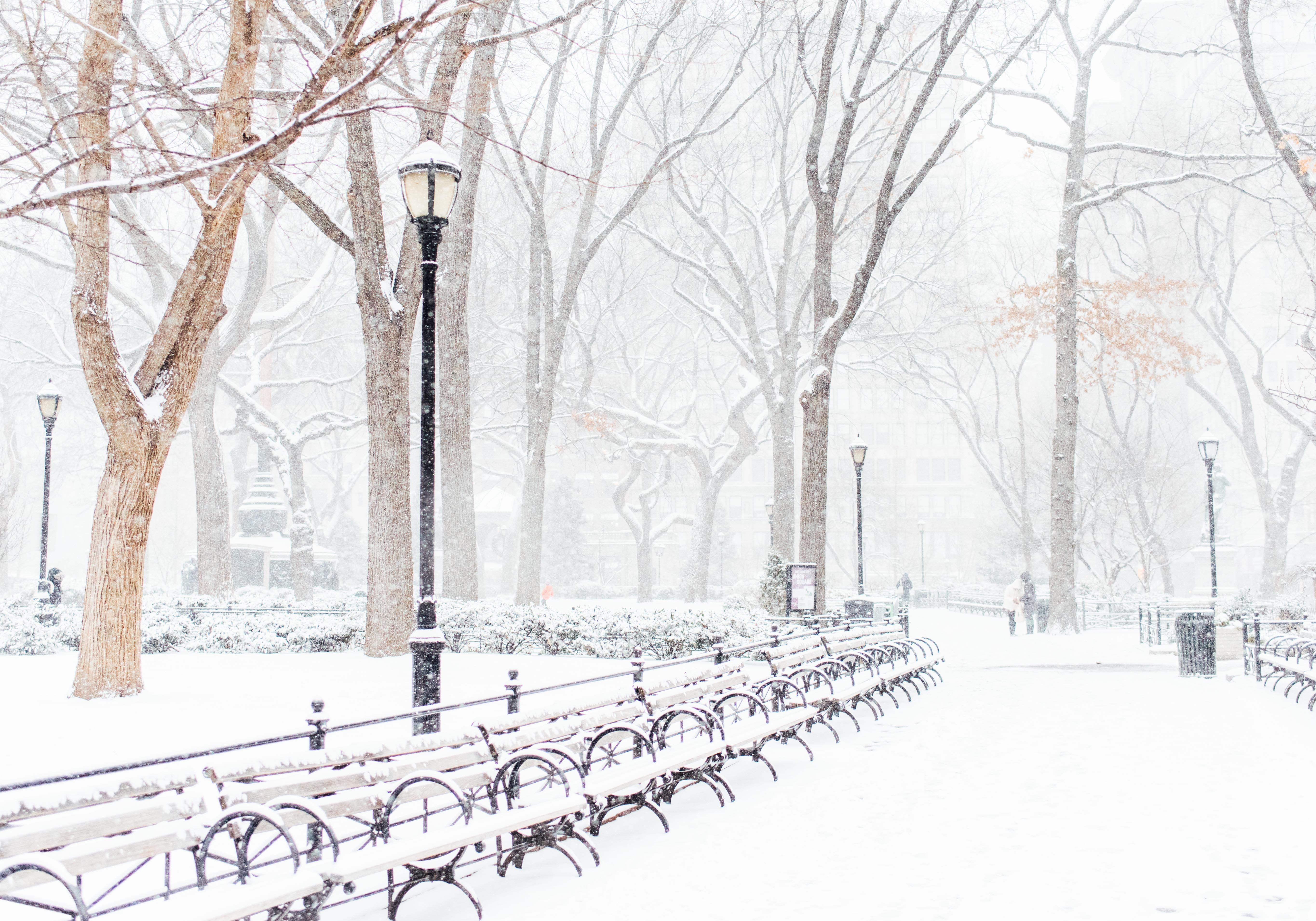 A NYC park covered in snow.