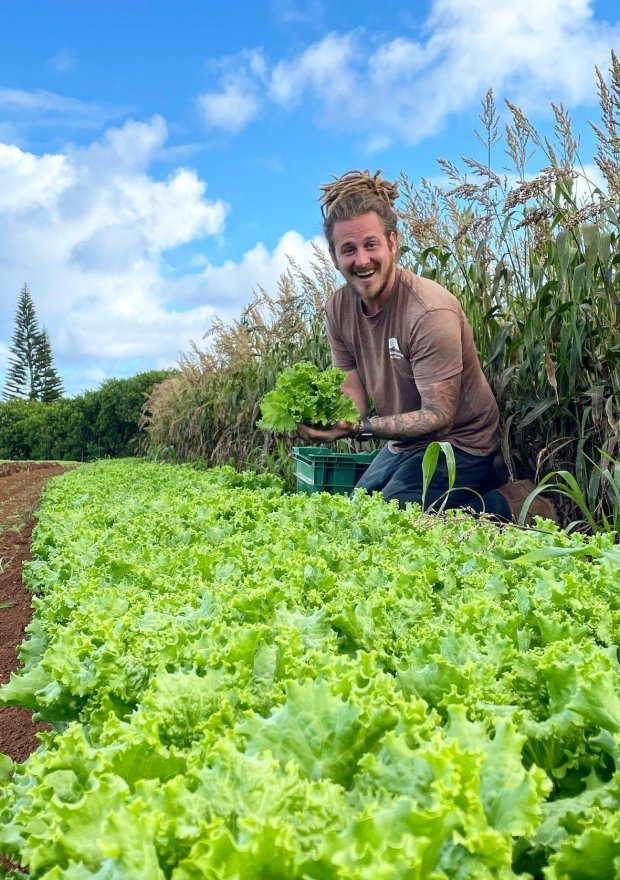 Zach Laidlaw, a Burlington native and Elgin Community College grad, harvests produce grown at Hua Momona Farms in Maui. Laidlaw, a trained chef, is competing on "Next Level Kitchen" airing on Fox TV and Hulu.- Original Credit: