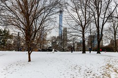 Central Park 2-13-24