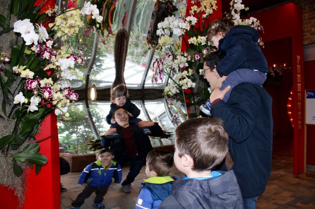 3-year-old Simon Vadola, 9-year-old Max Vadola and 2-year-olds Paul Vadola and Benjamin Vadola - all from Morton Grove - enjoy the Orchid Show of Wonders kick-off on Saturday replete with big tent carnival music and fun house mirrors. Photo by Gina Grillo.