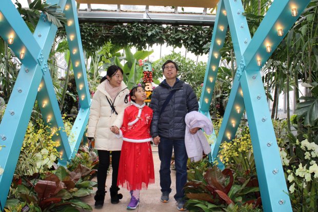 Tan Hua Yao, 10-year-old Kathy Pan and Longping Pan - all from Northbrook - enjoy the Orchid Show of Wonders kick-off event Saturday, replete with big tent carnival music and fun house mirrors, at the Chicago Botanic Garden, creating the whimsical world of a circus full of blooms. Photo by Gina Grillo.
