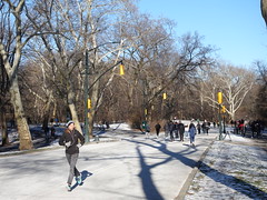 202401092 New York City Central Park