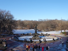 202401099 New York City Central Park
