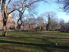 202402033 New York City East Village Tompkins Square Park