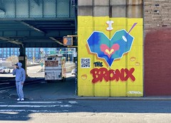 I ♥ the Bronx