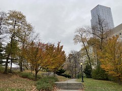 Late November in Central Park