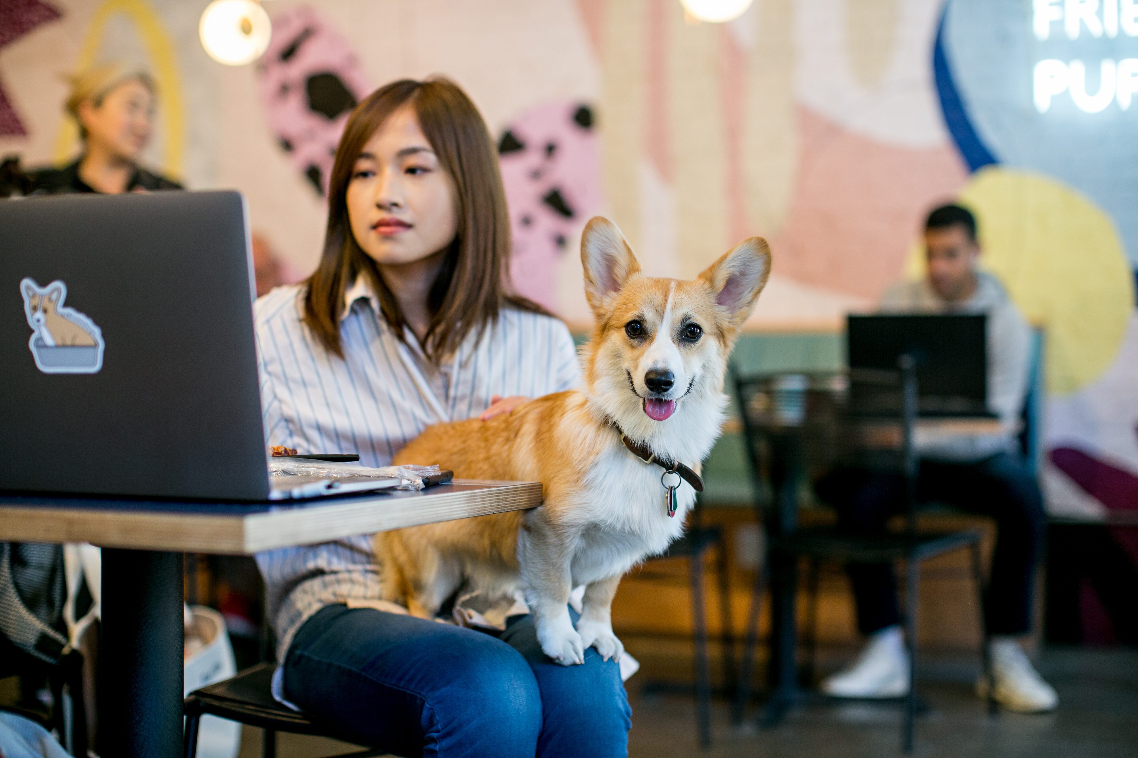 A woman sits at her laptop with a dog on her lap.