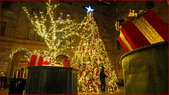 The Magic of Christmas.  NYC   Jan 1, 2024   DSC06767