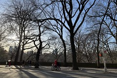 Winter day - Central Park