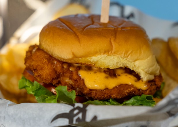 The crispy chicken sandwich with spicy creole sauce available in sections 140, 163, and 544 as the White Sox preview new food offerings Thursday, March 21, 2024, at Guaranteed Rate Field. (Brian Cassella/Chicago Tribune)