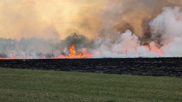 A line of fire spreads across the prairie at LeRoy Oakes Forest Preserve in St. Charles, burning up dead plants and returning the nutrients to the soil as it goes, as part of a controlled burn by the Kane County Forest Preserve District. (R. Christian Smith / The Beacon-News)