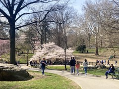 A Sunny April Day in Central Park