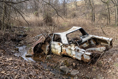 Abandoned Car Graveyard, Staten Island Greenbelt