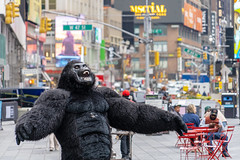 Broadway Kong, Times Square