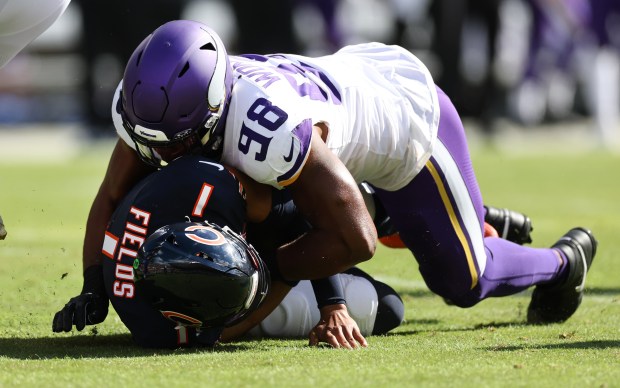 Minnesota Vikings linebacker D.J. Wonnum (98) sacks Chicago Bears quarterback Justin Fields (1) in the first quarter of a game on Oct. 15, 2023, at Soldier Field. (Chris Sweda/Chicago Tribune)