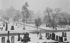 Cypress Hills Cemetery in the snow