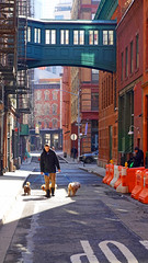 Walking Man--Staple Street NYC   Feb 26, 2024   DSC08283