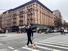 Walking and Talking on Amsterdam Avenue