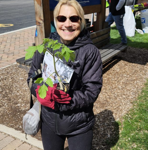 Karen Konopka of South Elgin carries away a free tomato plant she received during the Geneva Earth Day Celebration Saturday at Peck Farm Park. (David Sharos / For The Beacon-News)