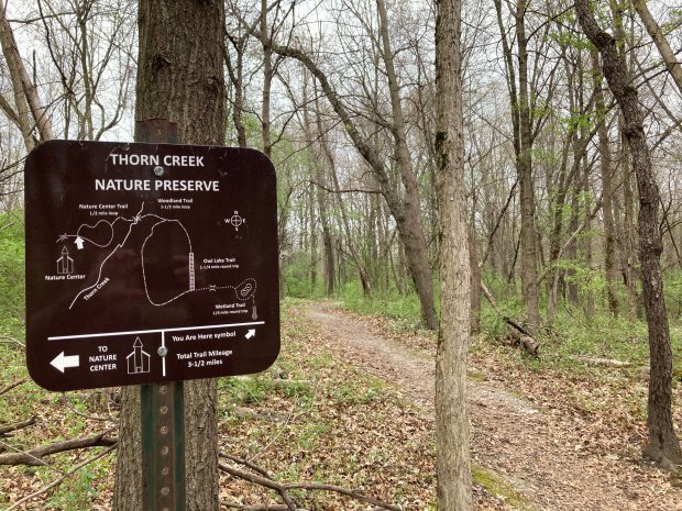A trail map shows hiking opportunities in Thorn Creek Woods Nature Preserve near Park Forest on April 18, 2024. (Paul Eisenberg/Daily Southtown)
