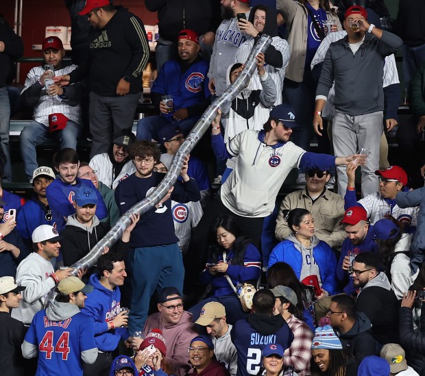 A fan collects plastic cups while making a cup snake in the right field bleachers in the sixth inning of a game between the Chicago Cubs and the Houston Astros at Wrigley Field in Chicago on April 23, 2024. (Chris Sweda/Chicago Tribune)