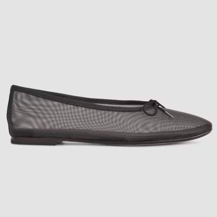 Everlane The Day Ballet Flats