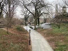 A Late February Day in Central Park