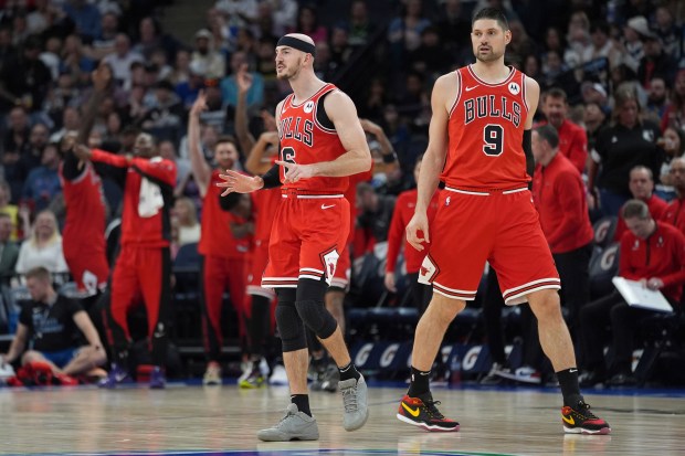 Chicago Bulls guard Alex Caruso, left, celebrates during the second half of an NBA basketball game against the Minnesota Timberwolves, Sunday, March 31, 2024, in Minneapolis. (AP Photo/Abbie Parr)