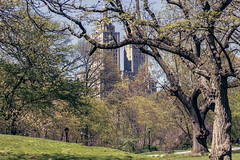 Central Park 4-22-23-2024