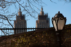 Central Park, NYC