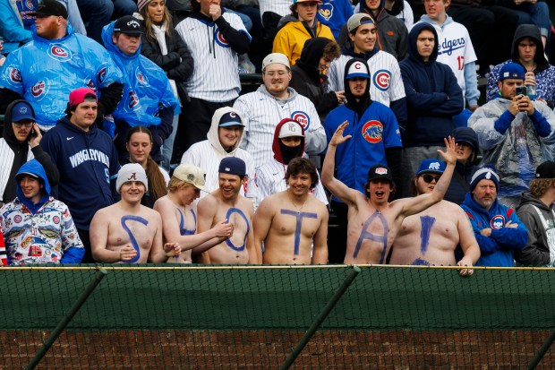 Fans cheer from the bleachers with Chicago Cubs pitcher Shota Imanaga (18) first name on their chests before the Cubs play the Los Angeles Dodgers at Wrigley Field Sunday, April 7, 2024, in Chicago. (Armando L. Sanchez/Chicago Tribune)