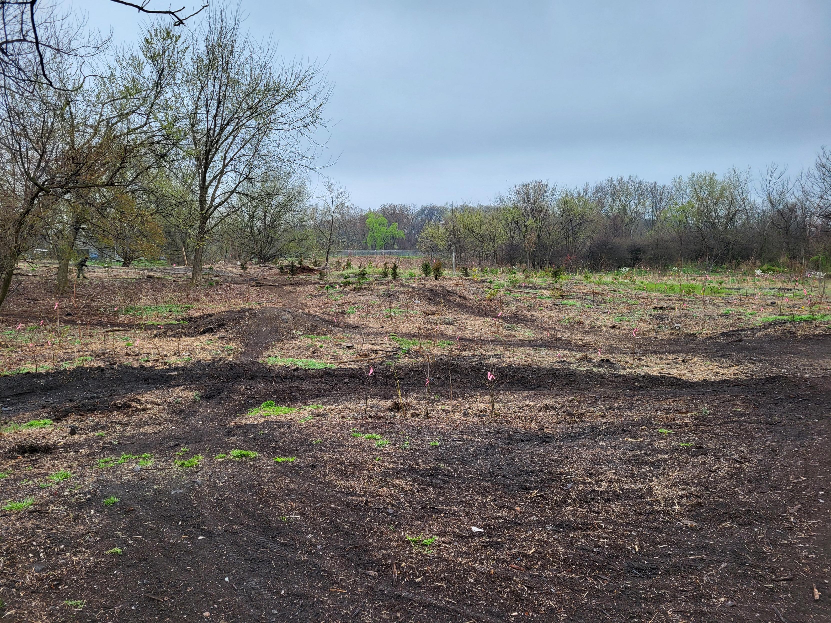 A torn up greenspace with dirt bike paths.