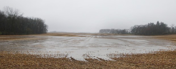 Two ducks (right) use a farmers field to swim in near Mississippi Street south of Indiana 2. Due to the more than a week of rain, Lake County drainage ditches that feed into the Kankakee and Calumet rivers are close to overflowing their banks on Tuesday, April 2, 2024. (John Smierciak for the Post-Tribune)