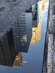 Manhattan puddle