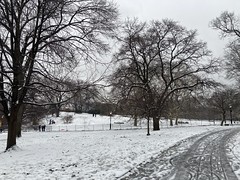 Mid-January in Riverside Park