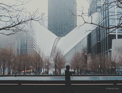 Oculus, WTC