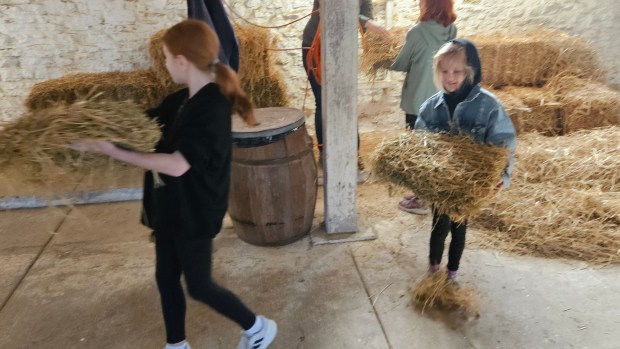 Children carry hay for the cows Saturday at Primrose Farm in St. Charles Township where a two-hour "Wake Up and Work" program focusing on farm chores was held. (David Sharos / For The Beacon-News)