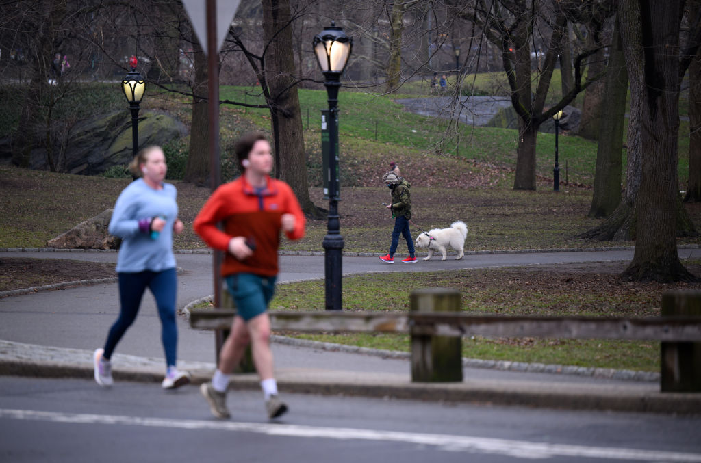 People jog in Central Park on Feb. 23, 2024.