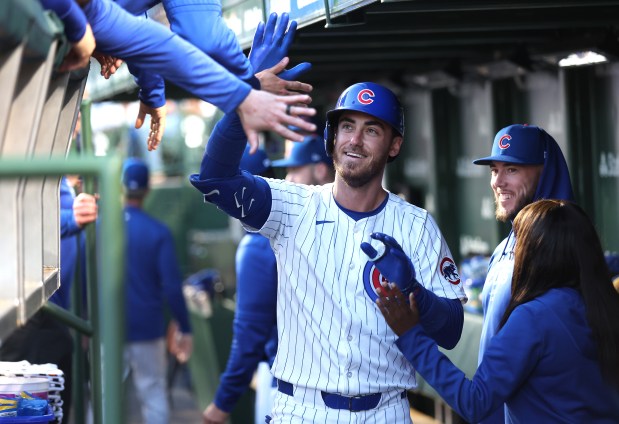 Chicago Cubs designated hitter Cody Bellinger is congratulated in the dugout after hitting a solo home run in the fourth inning of a game against the San Diego Padres at Wrigley Field in Chicago on May 7, 2024. (Chris Sweda/Chicago Tribune)