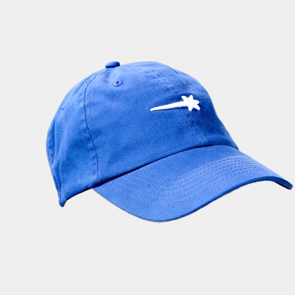 Sprinter Dad Hat