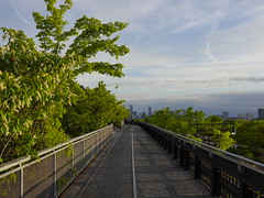 202405034 New York City Hudson Yards High Line Park