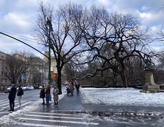 A Little Snow on Central Park West