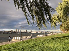 A November Day at Riverside Park South