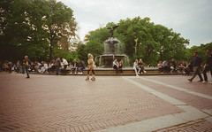 Central Park, NYC -- Bethesda Fountain (2024)