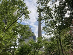 Looking Up from Cherokee Place