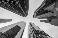 Looking up
